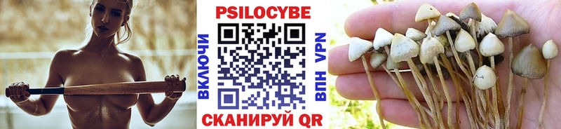 нарко площадка официальный сайт  Гусь-Хрустальный  Галлюциногенные грибы мицелий 