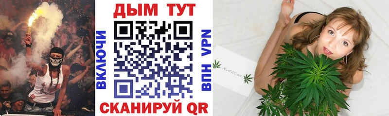 Каннабис OG Kush  наркотики  Гусь-Хрустальный 